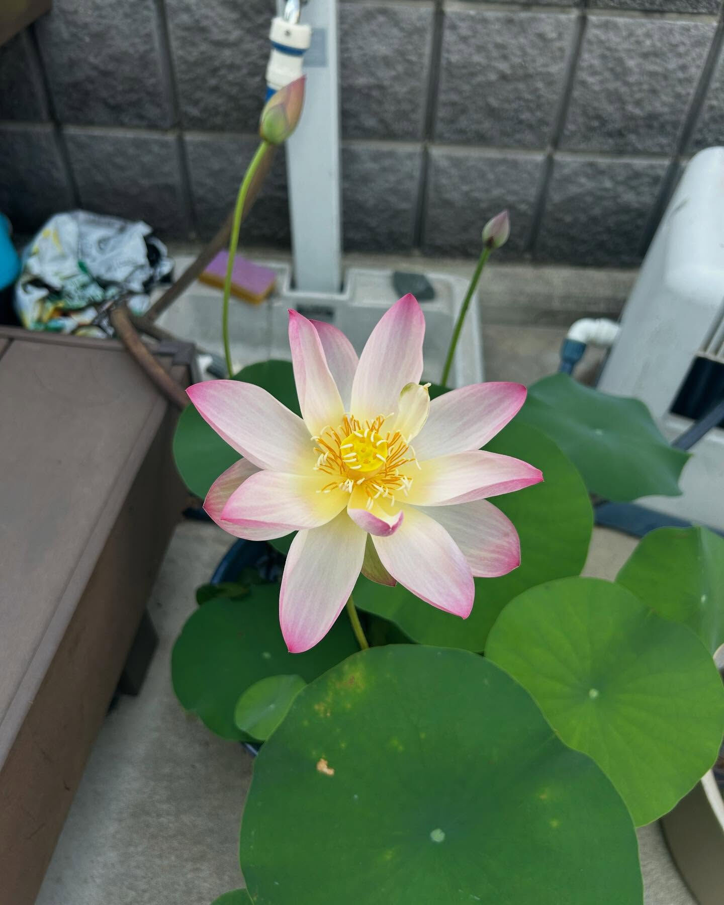 遺品整理を始めました🌟！私たちのサービスでは、思い出の品々を