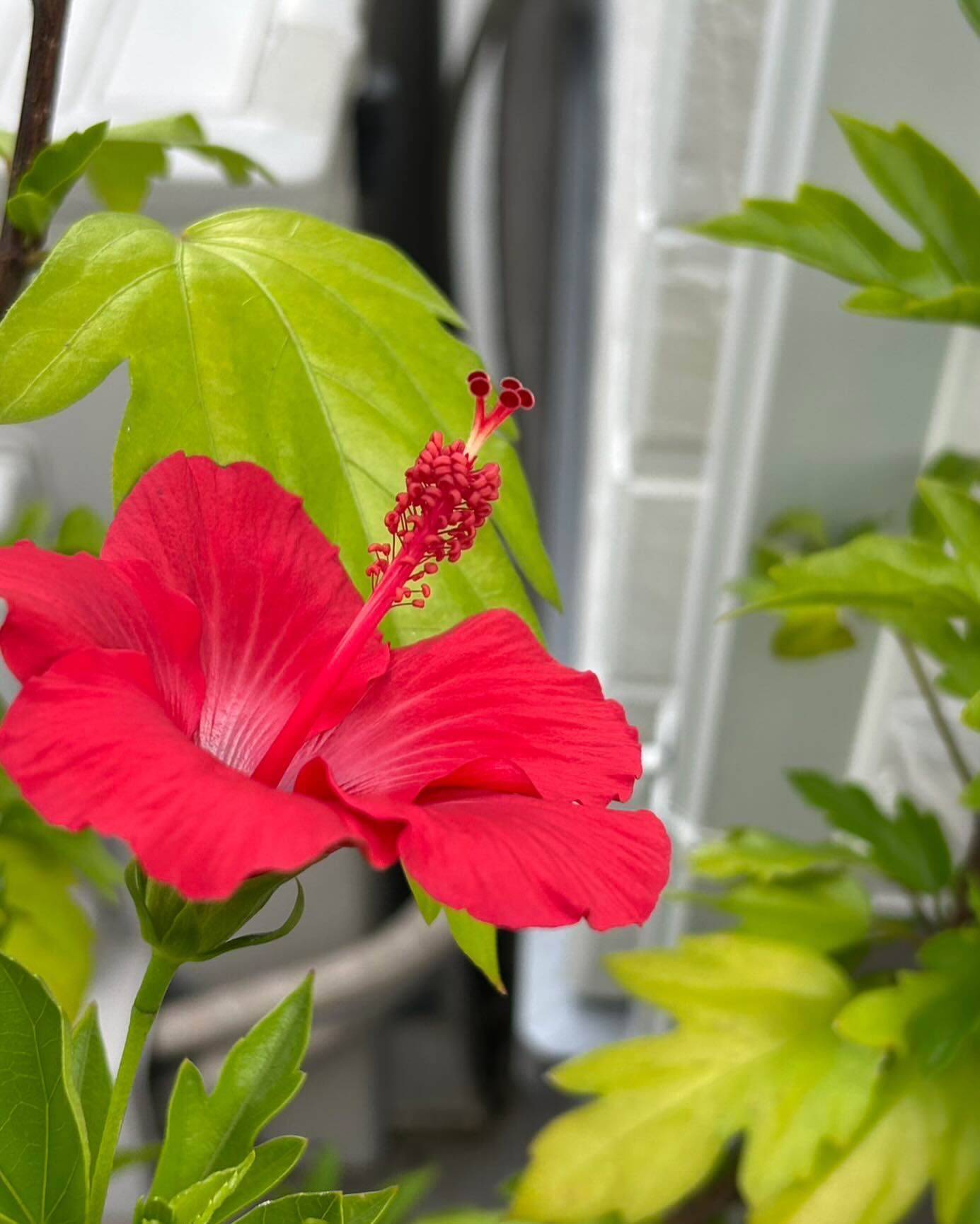 遺品整理は、大切な方の思い出を整理し、新たな一歩を踏み出す大