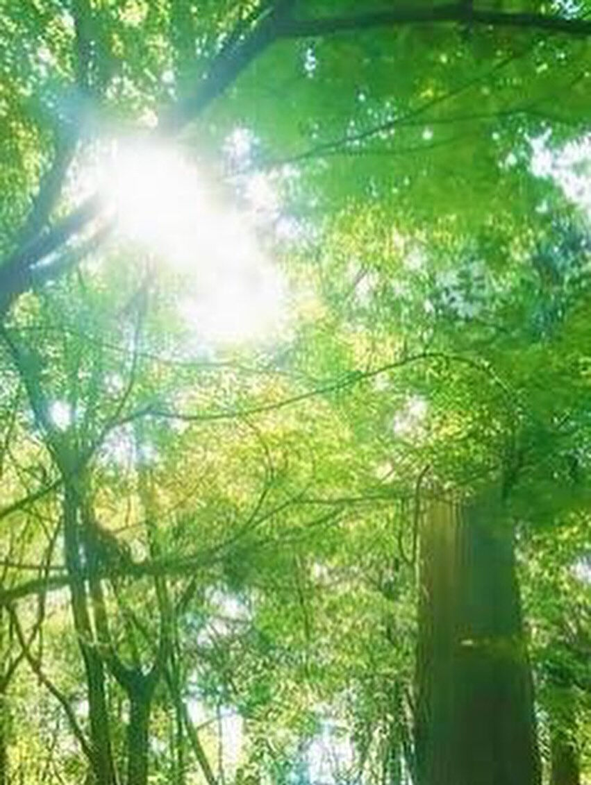 遺品整理という作業は、心の整理や家の整理といったさまざまな整