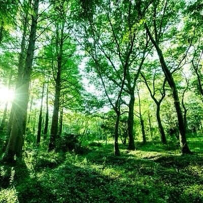 お盆の時期ですね